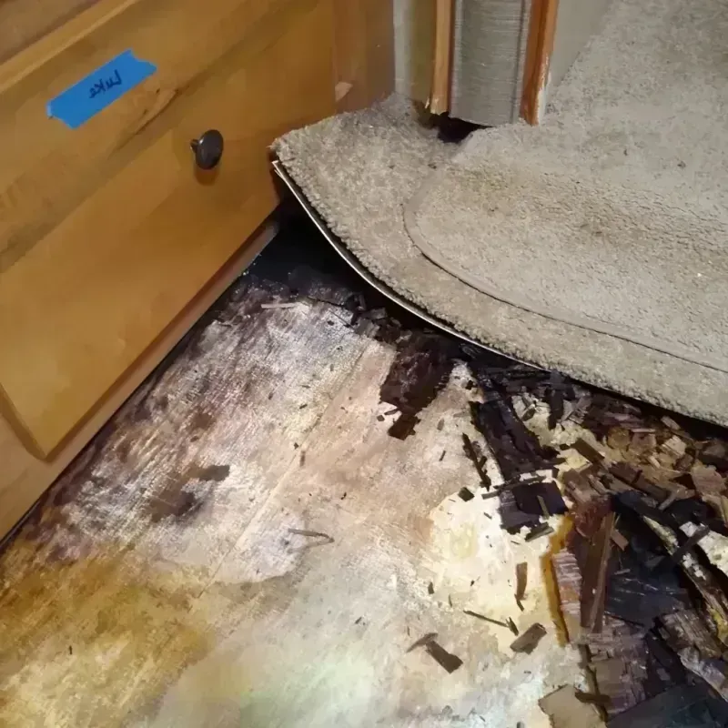 Wood Floor Water Damage in Crockett County, TN